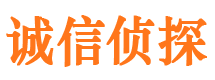 曲麻莱调查事务所